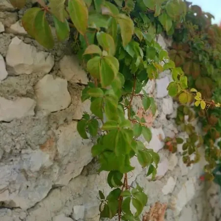 House Galeb- 20 Meters From Beach!! Casa de Férias *