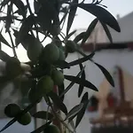 Ferienhaus House Galeb- 20 Meters From Beach!!