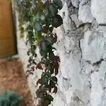 House Galeb- 20 Meters From Beach!! *