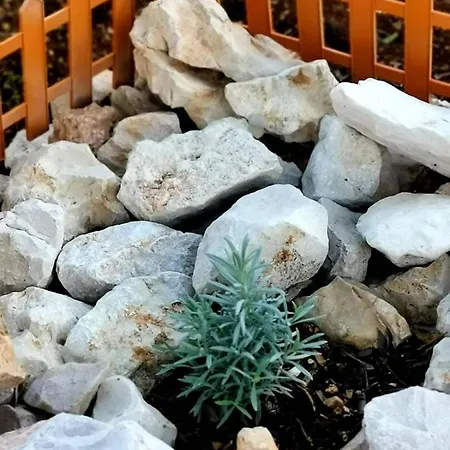 House Galeb- 20 Meters From Beach!! * 塞维德