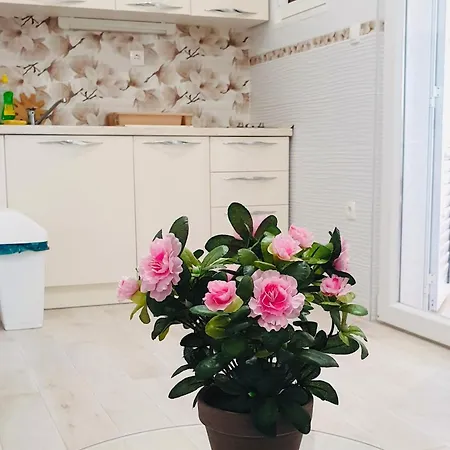 House Galeb- 20 Meters From Beach!! Ferienhaus Sevid